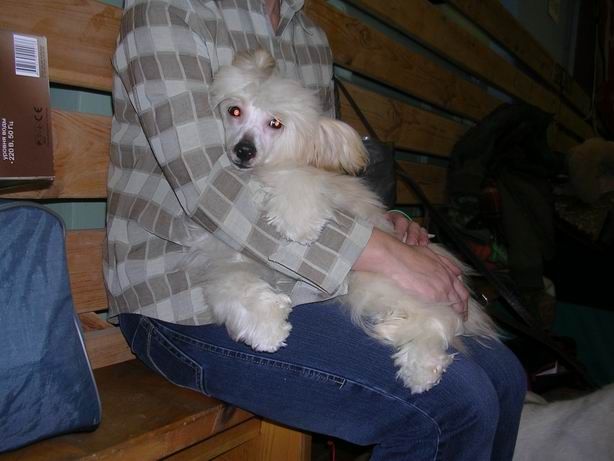 Alfa Laval Proof Of Power