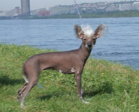 Margadon Velmojnaia Pani Pyhtya