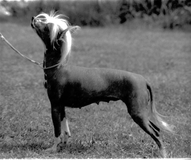 Sandpony always a lady