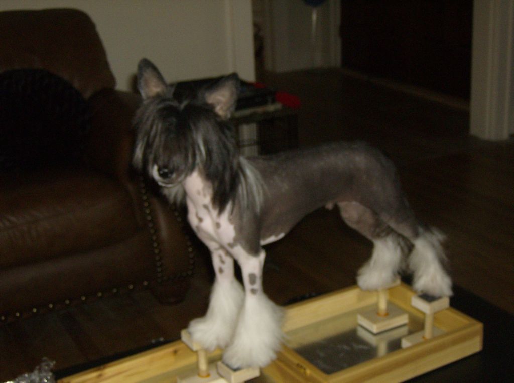 La-Te-Da's Tuff Man to Beat