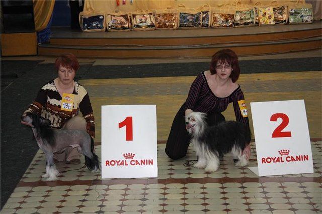 Kreative Lily s Tushinskogo Doma