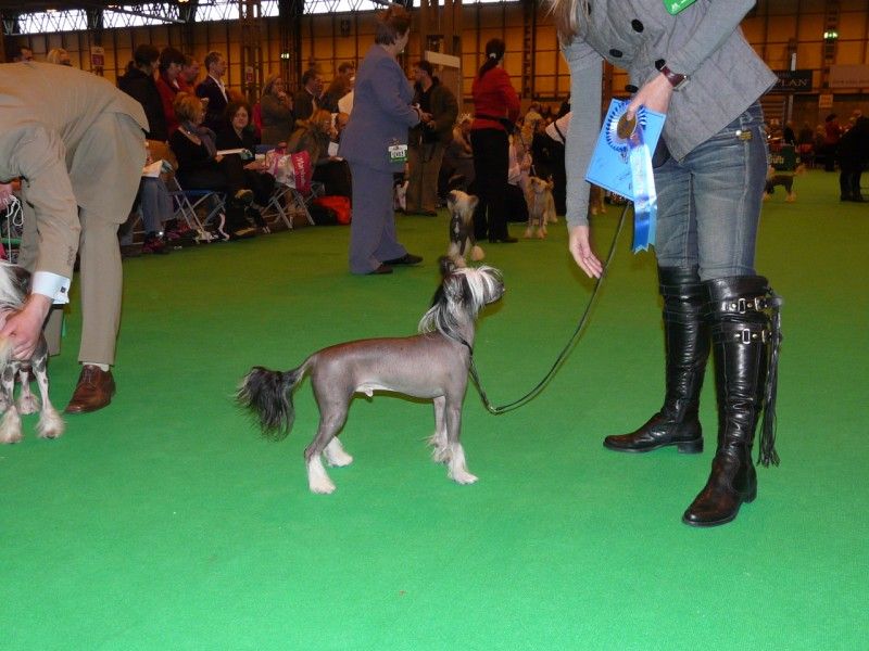 Kair Pastoral At Camoto