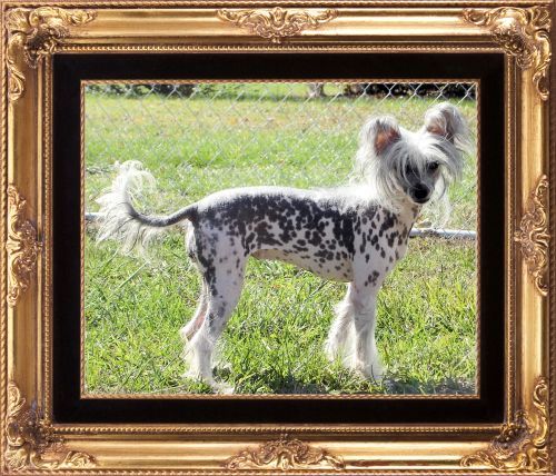 Exkwizits Nadia Takes The Gold