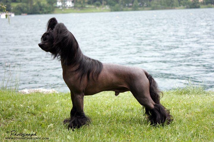 Stars at Sea Fear in The Night