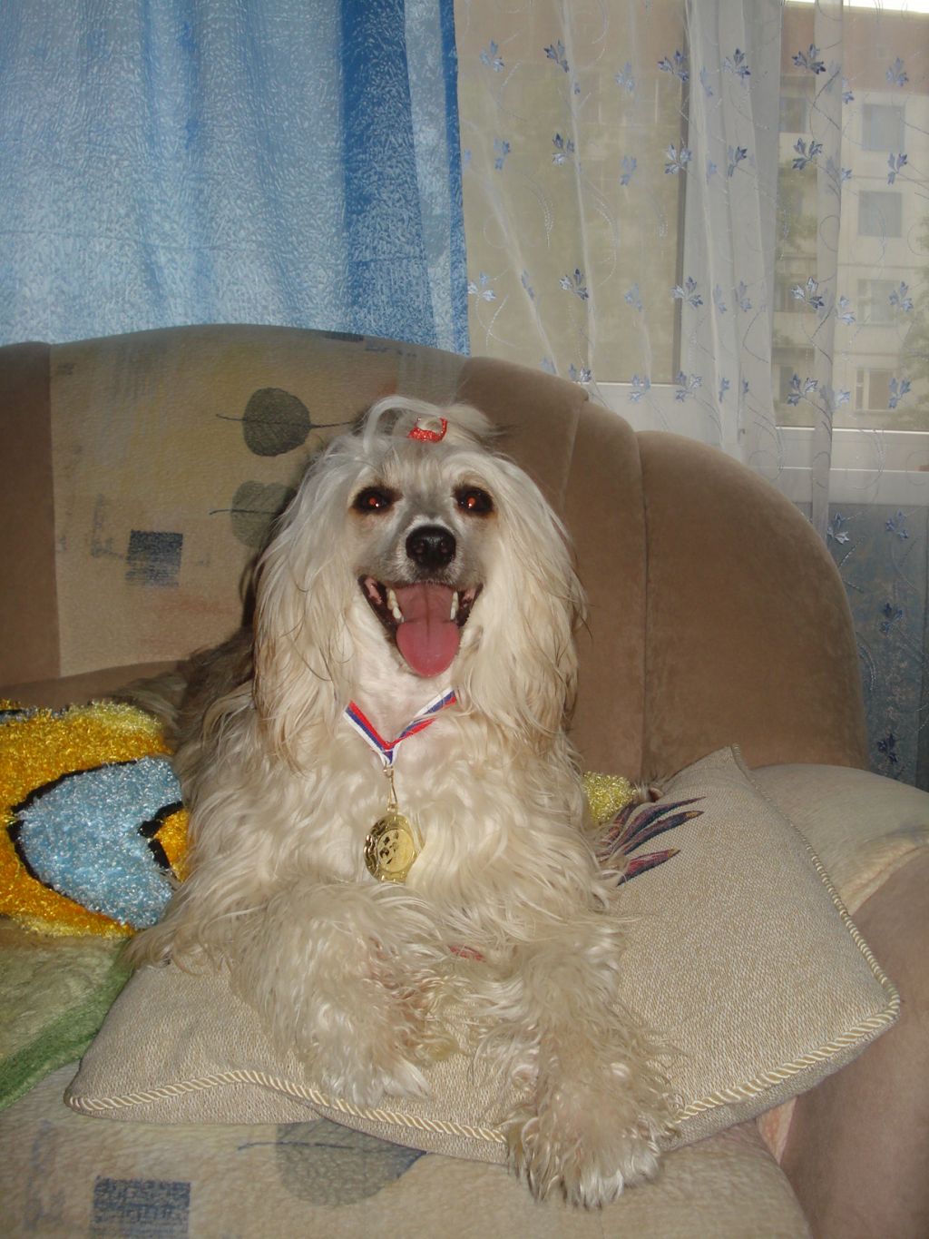 King Premium s Tushinskogo Doma