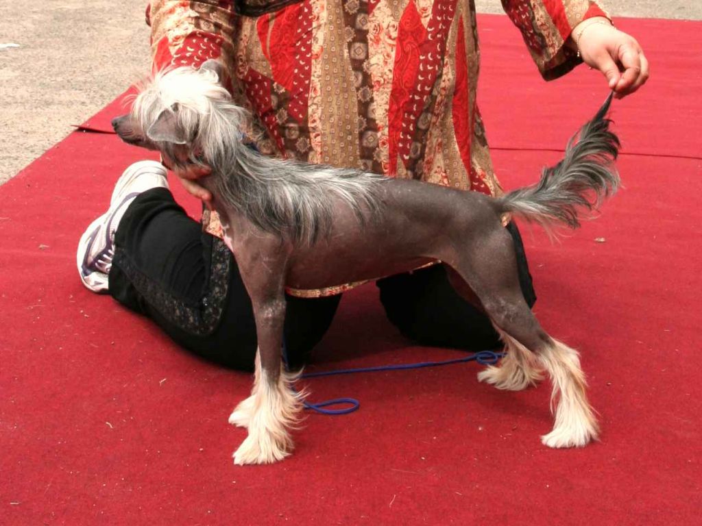 Voshititelnaya Viva Minodora