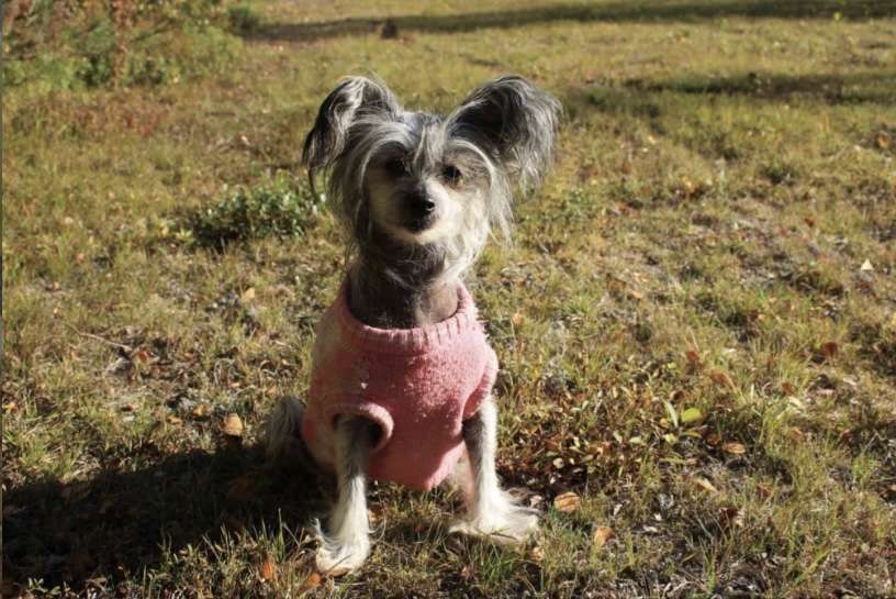 Untouchable's Just An Illusion