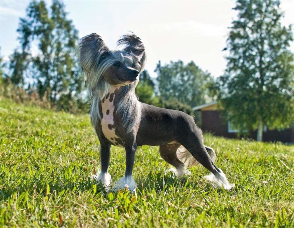 Vanitonia Rumor Has It