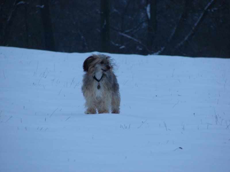 Gaspe Powder od Chlpiku