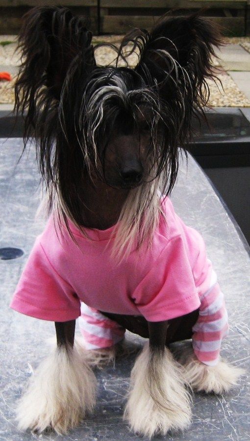 Island shangri-La Fortuna