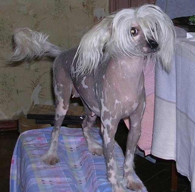 Fratelli Del'rino Assol 