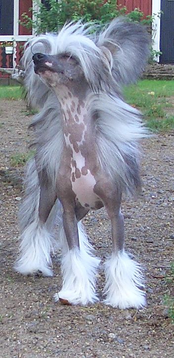 Vanitonia Just A Rumour