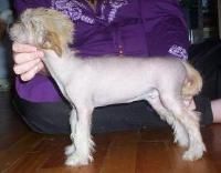 Daybreak Naked In The Sun