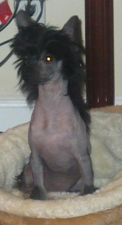 Obie's See Me With Your Naked Eye