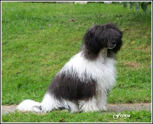 MhaLhi's Entertainer