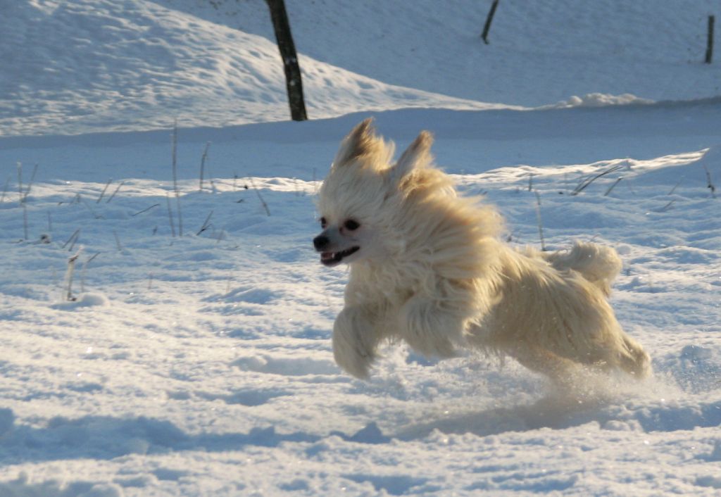 Shanghai Noon de GabriTho