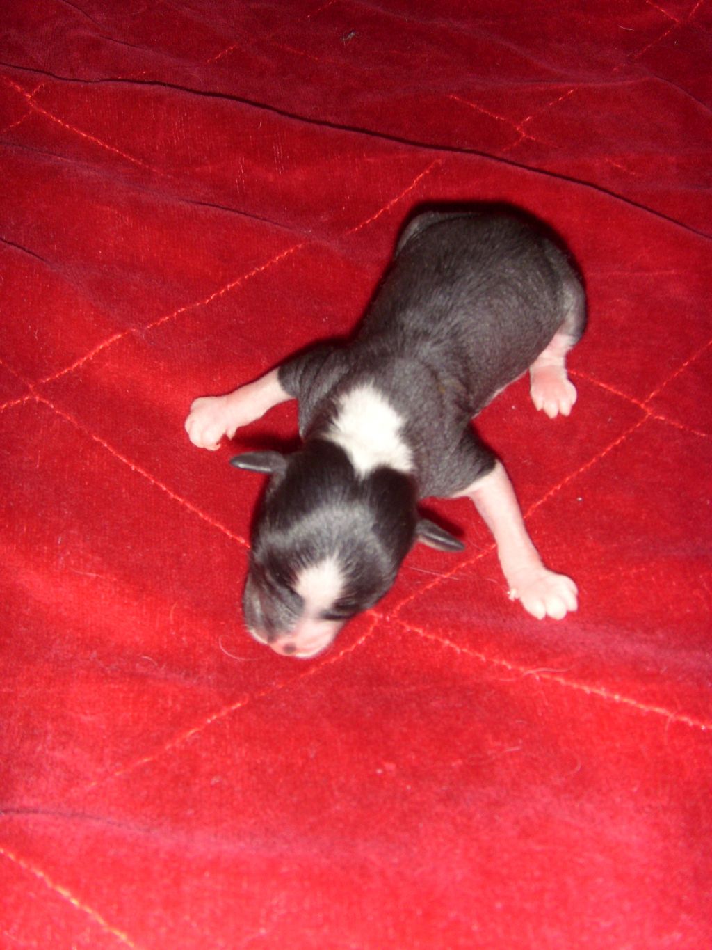 Cool Crowd's Eyes On Target