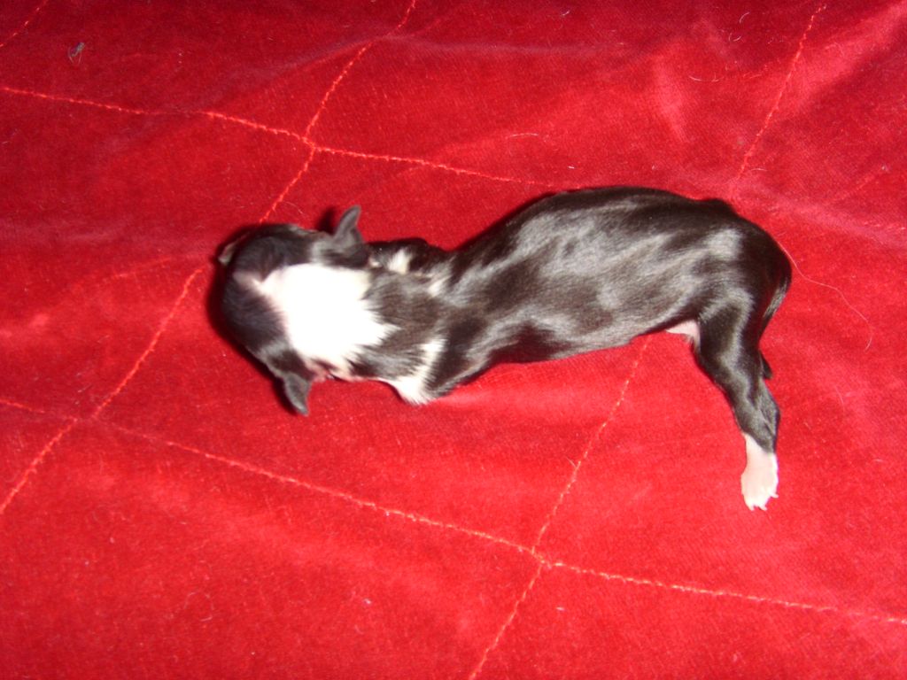 Cool Crowd's Exellent Pair Of Eyes