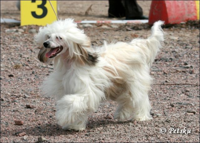 Secret Line's Lady Manhattan