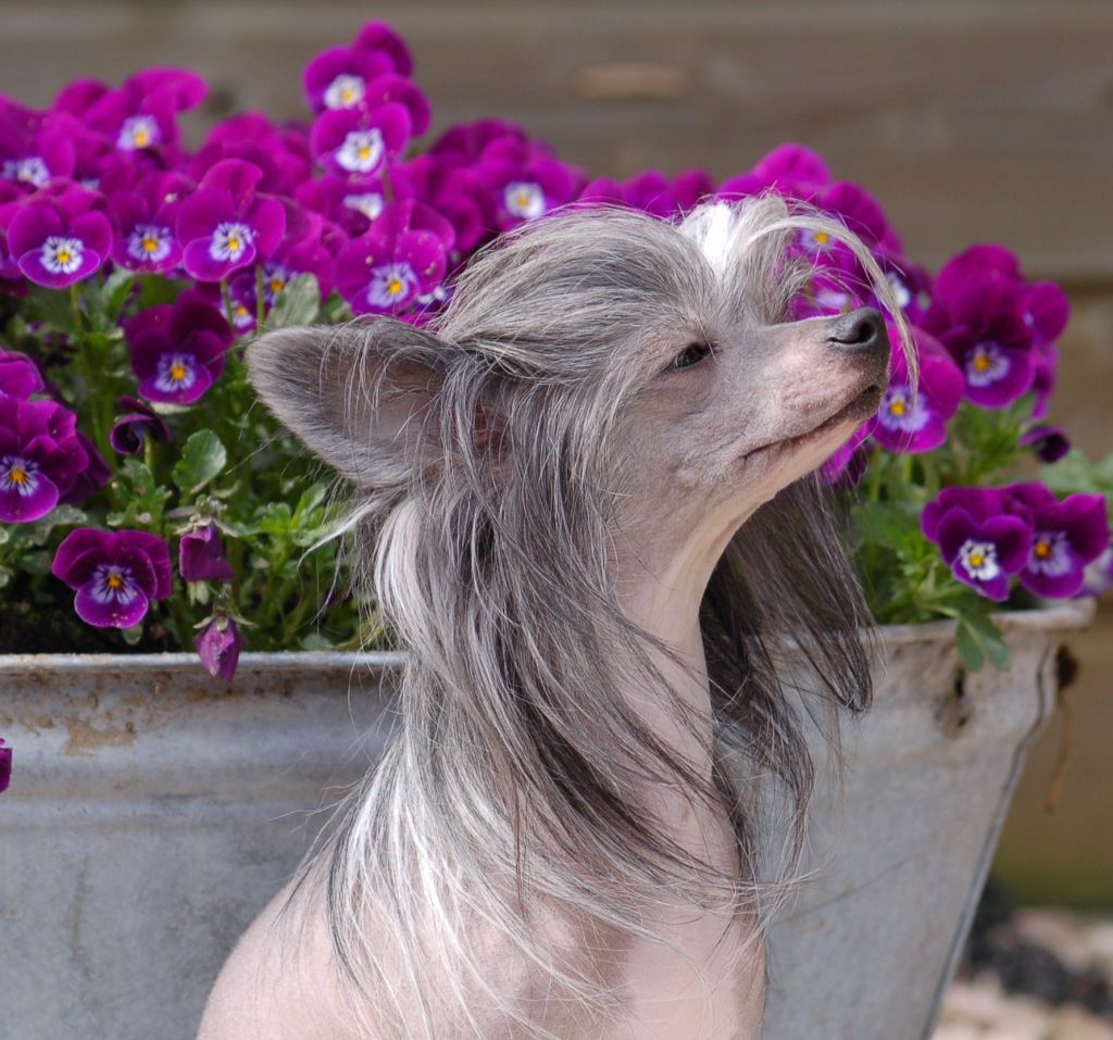 Special Edition Be My Lucky Lady