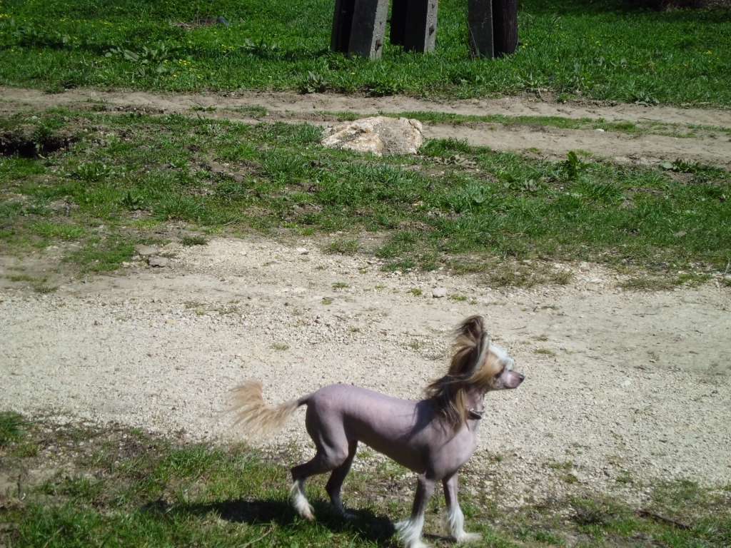 H' Sissi Top Model De Rama