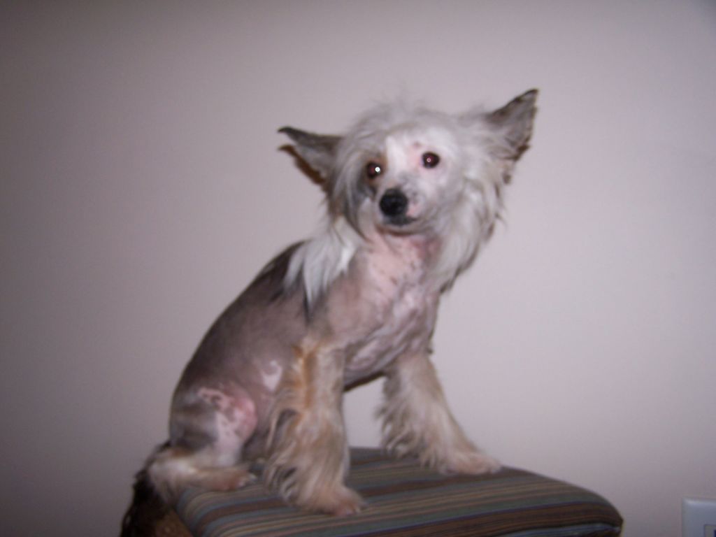 Mctical Chat Line Special