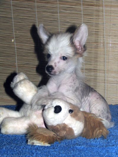 Zorrazo Keep me Happy