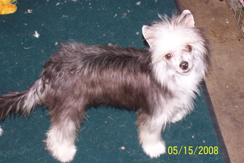 Aragon's Mistress Of The Dark