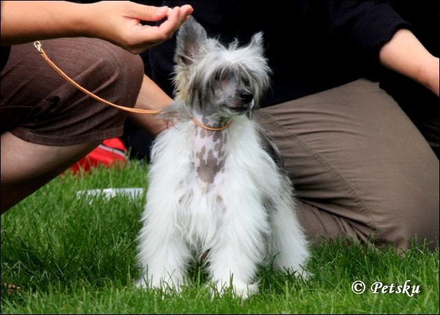 Zhannel's Sudden Kiss