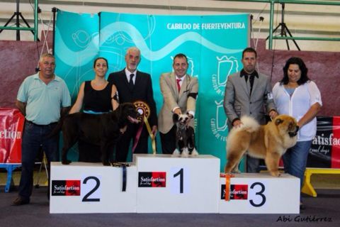 BIS MulCH. Lady Macbeth Della Castafiore