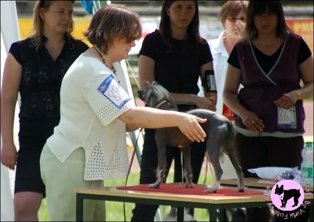 Artemor Al Xandy Isadora