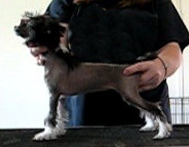 Waiting a Lifetime Gardine