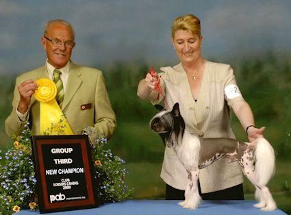 Gardine Chinese Design Bakara