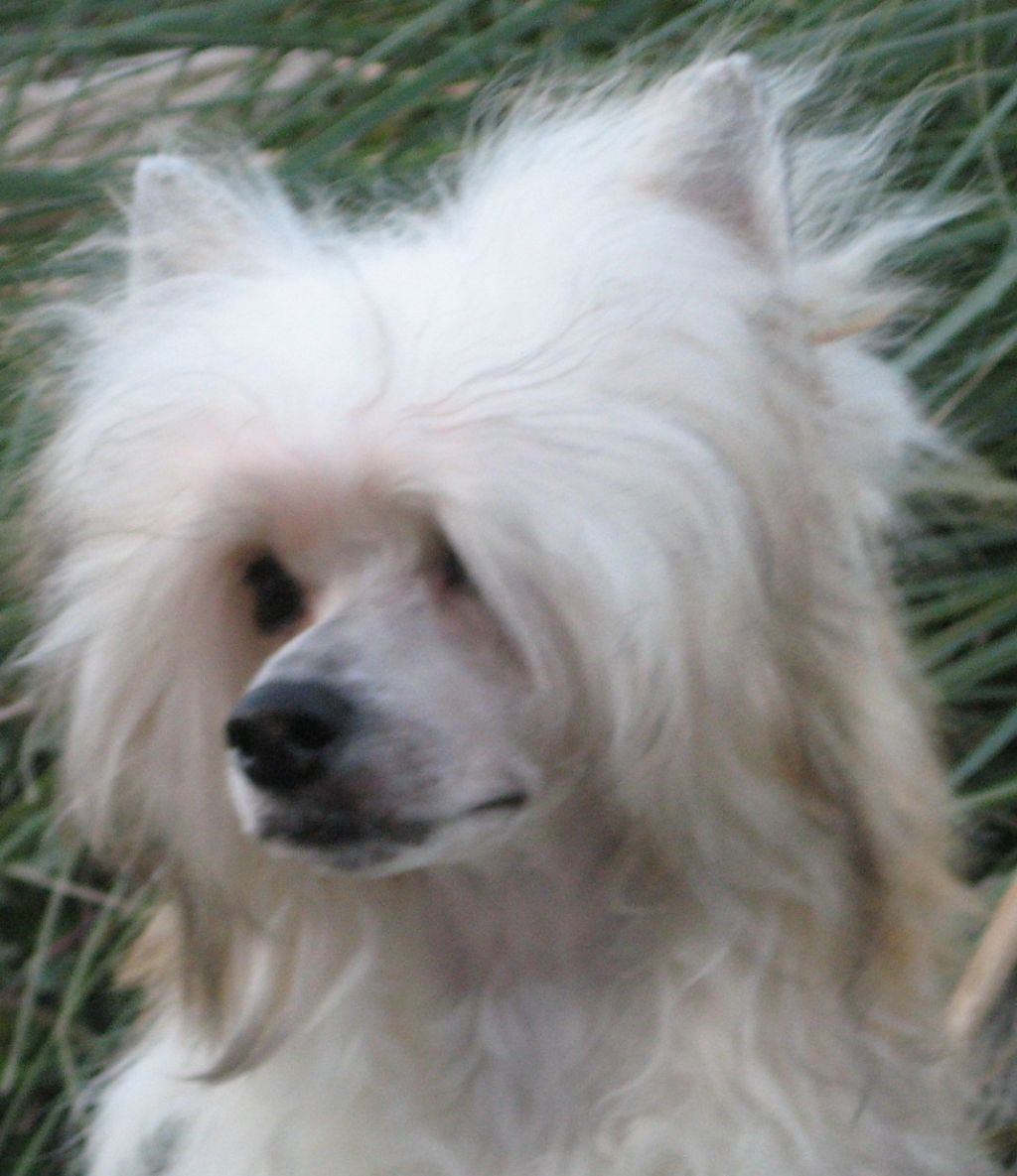 Swifthaven That's Why I'm Bad