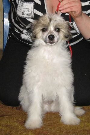 Rus Amigus Rabbits Foot