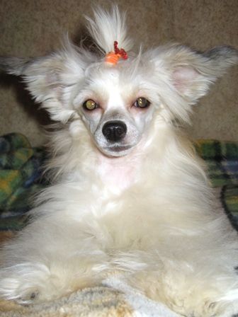 Rus Amigus Radiating Love