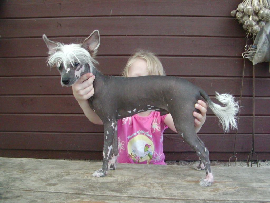 Hurricane Jack O'Vamos