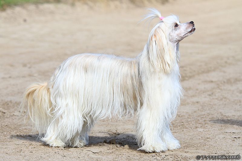 Arte Figure Bethnal Green