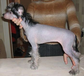 Sapfir iz Tsarskogo Sela Elizaveta