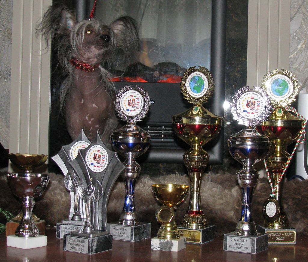 Rossi Chinesin Blume Mitau