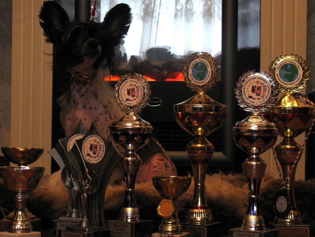 Freizija Feniro Mitau