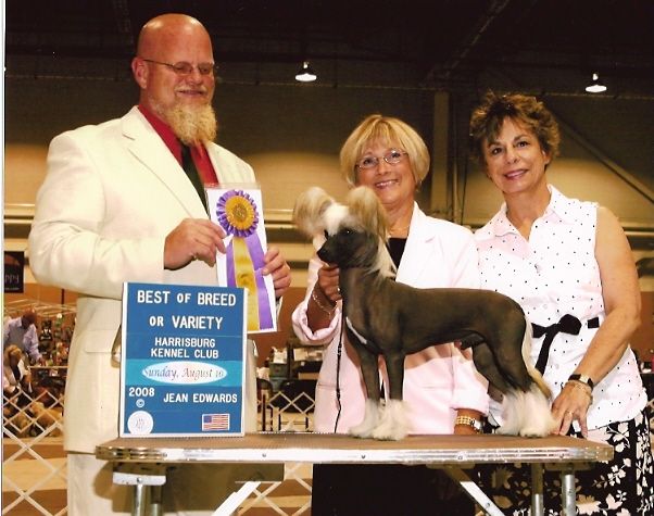 Camelot's N Tamarlane's Steel Your Dreams