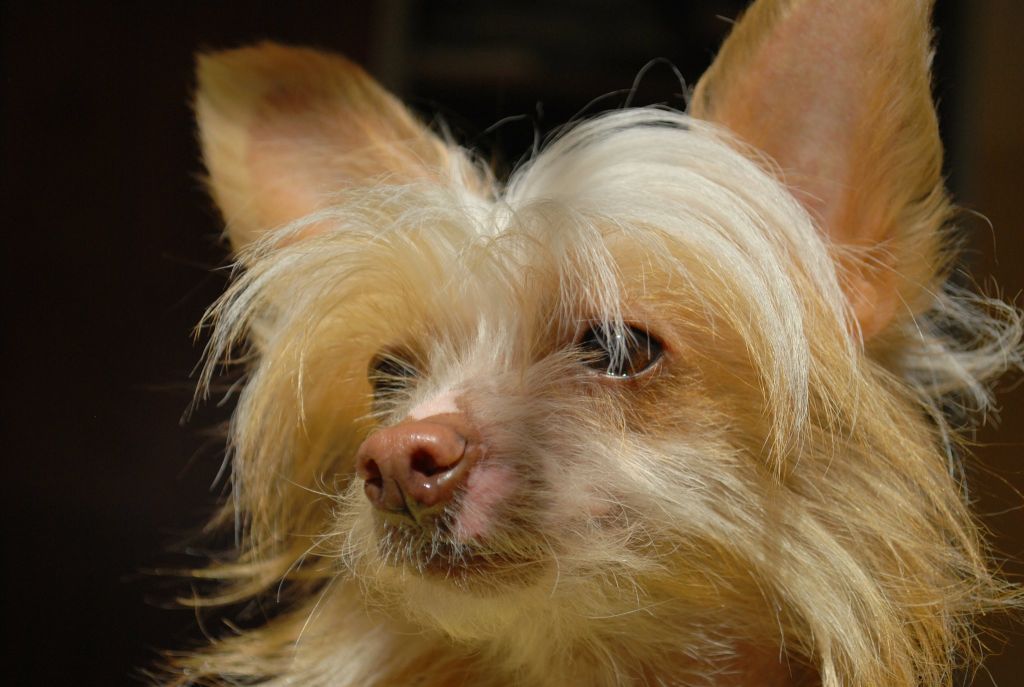 Freaky Hell Girl FalaZairroo