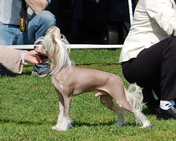 Reject's Nine Inch Nail