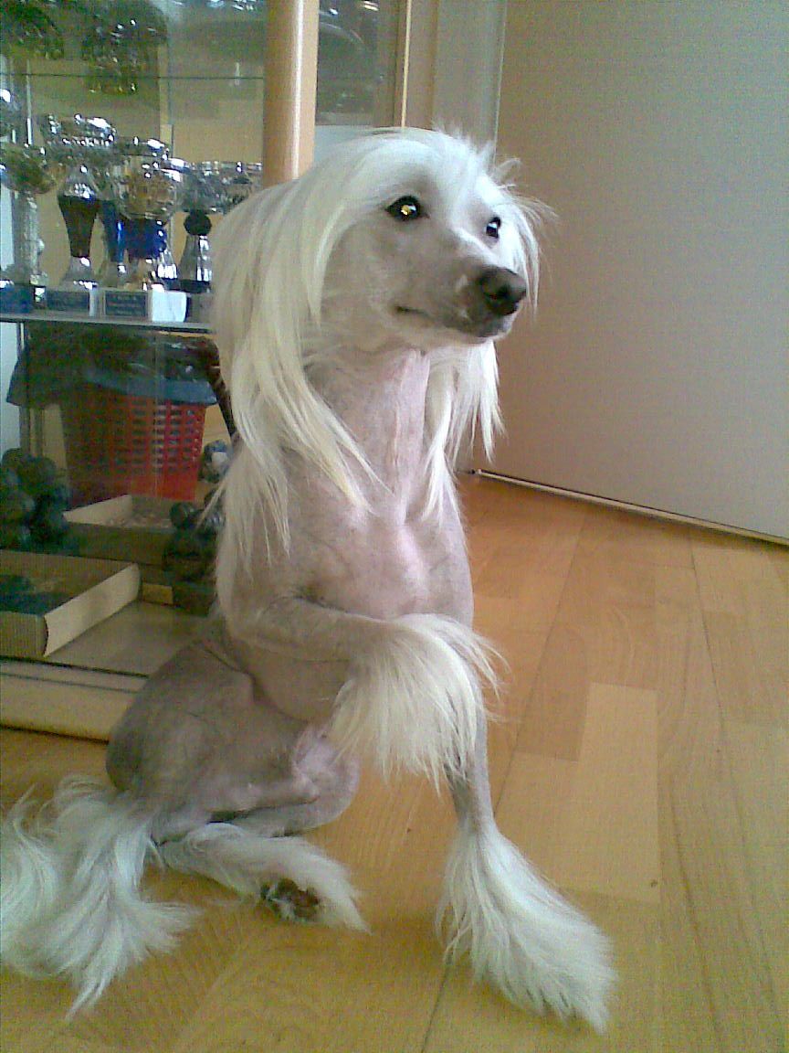 Revolution of Beauty Let's Get Loud