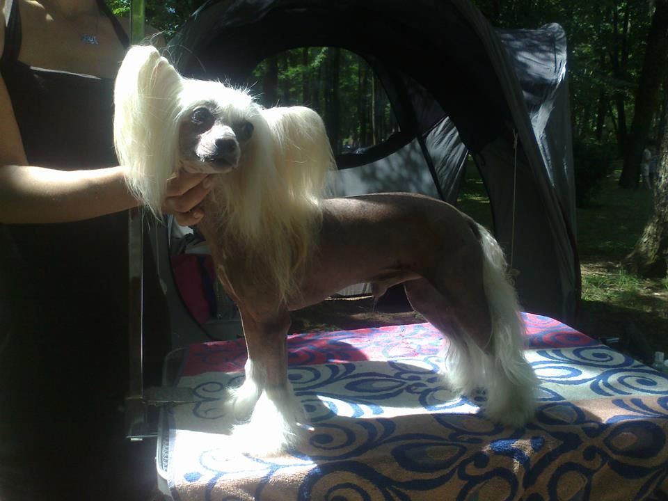 Revolution of Beauty Lost in Space