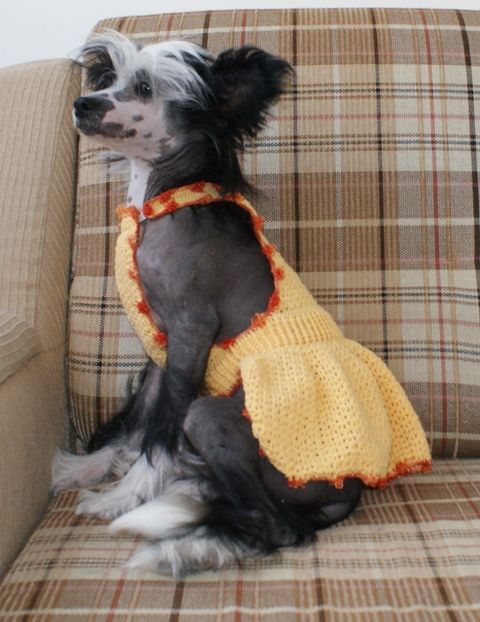 Ksolo Club Zama Nuha dly Atlant Kordiall