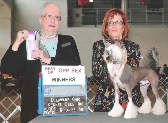 Solino's Nothing But Versace