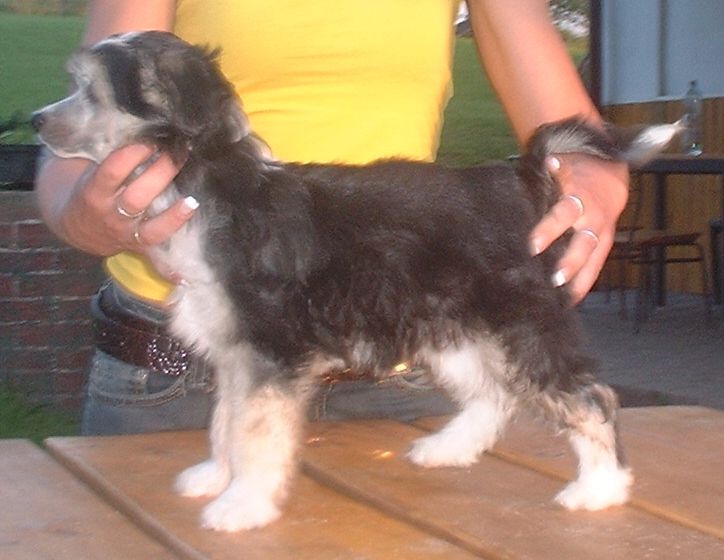 Quassius z Jasne hvezdy