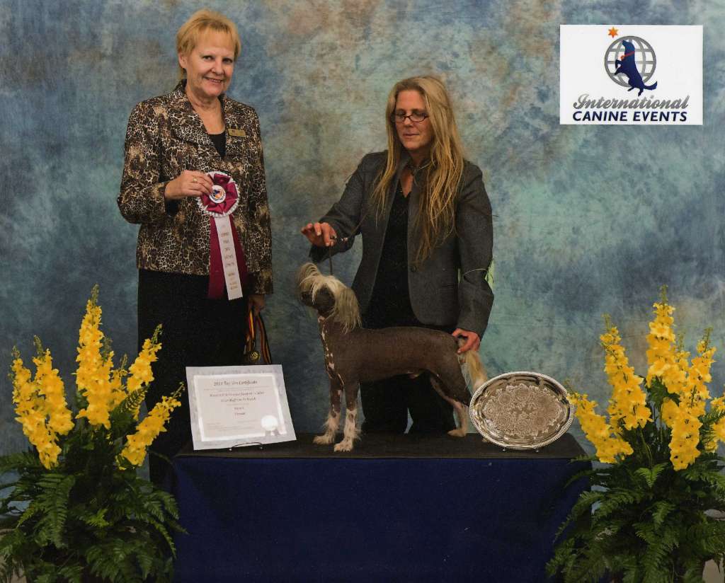 Silver Bluff the One to Watch